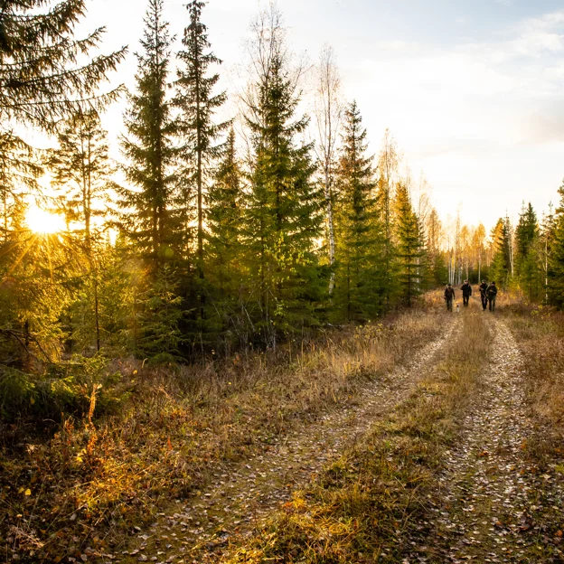 Fjällräven Unisex Hunting accessories Mood 54587